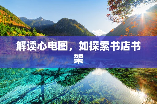 解读心电图，如探索书店书架