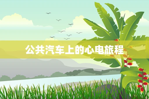 公共汽车上的心电旅程