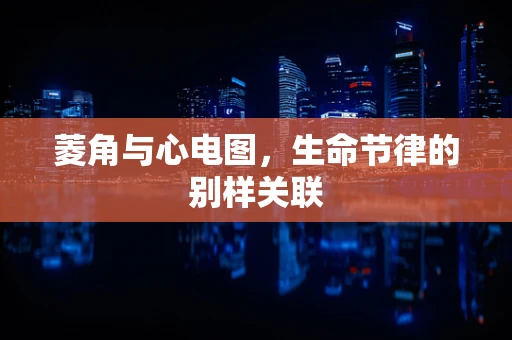 菱角与心电图，生命节律的别样关联