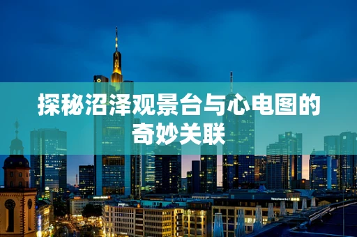 探秘沼泽观景台与心电图的奇妙关联