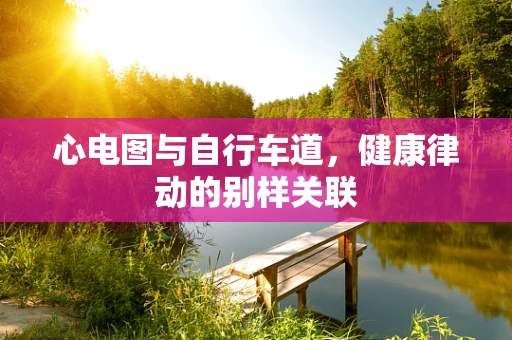 心电图与自行车道，健康律动的别样关联