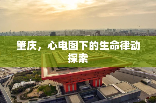 肇庆，心电图下的生命律动探索