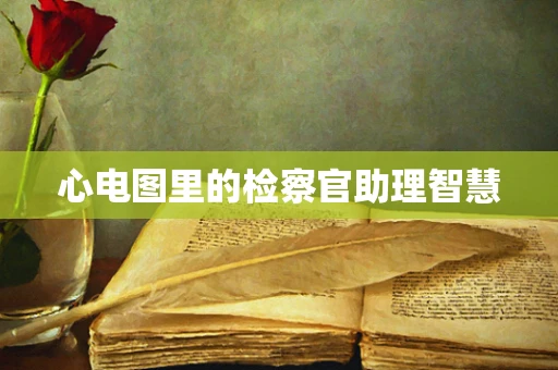 心电图里的检察官助理智慧