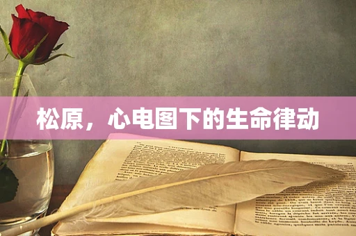 松原，心电图下的生命律动