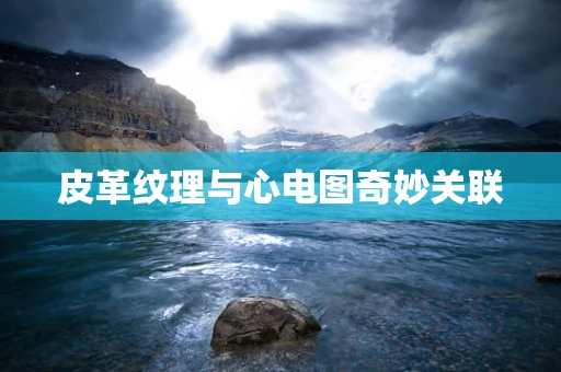 皮革纹理与心电图奇妙关联