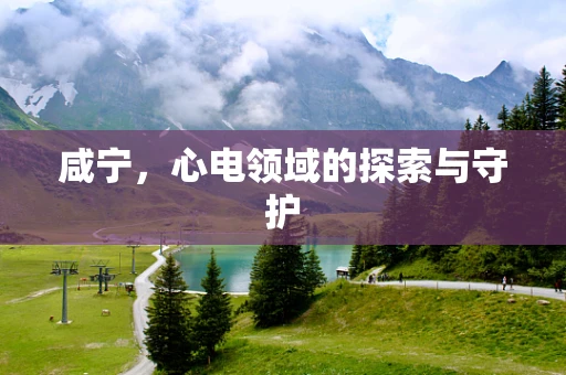 咸宁，心电领域的探索与守护