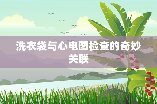 洗衣袋与心电图检查的奇妙关联