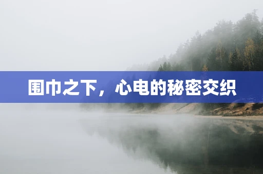 围巾之下，心电的秘密交织