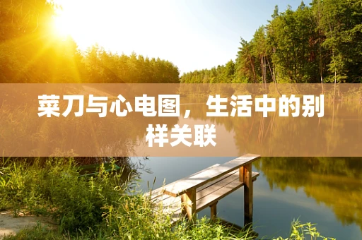 菜刀与心电图，生活中的别样关联