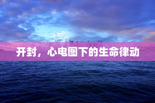 开封，心电图下的生命律动