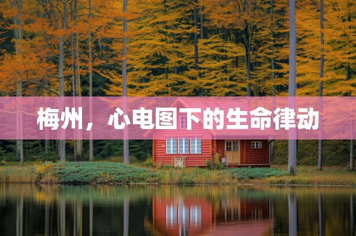梅州，心电图下的生命律动