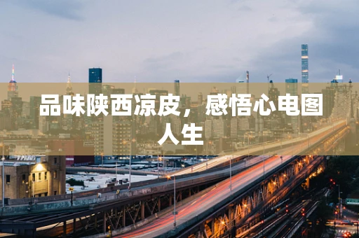 品味陕西凉皮，感悟心电图人生