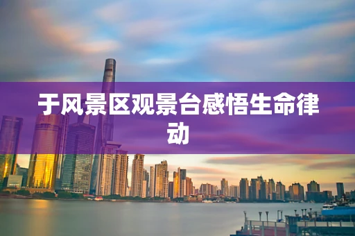 于风景区观景台感悟生命律动