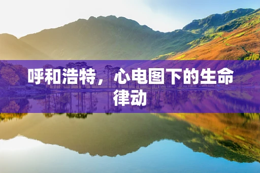 呼和浩特，心电图下的生命律动