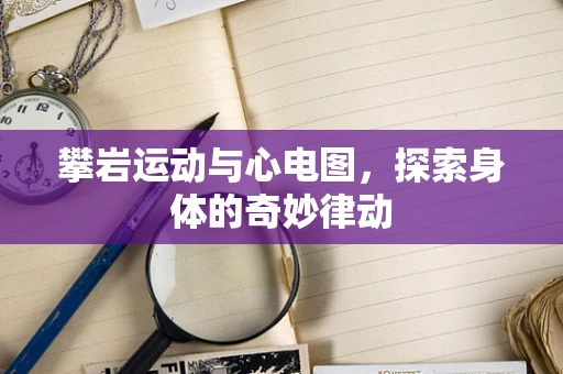 攀岩运动与心电图，探索身体的奇妙律动