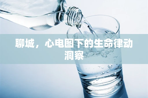 聊城，心电图下的生命律动洞察