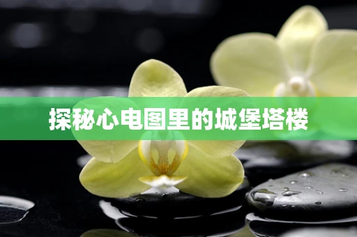 探秘心电图里的城堡塔楼