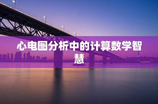心电图分析中的计算数学智慧