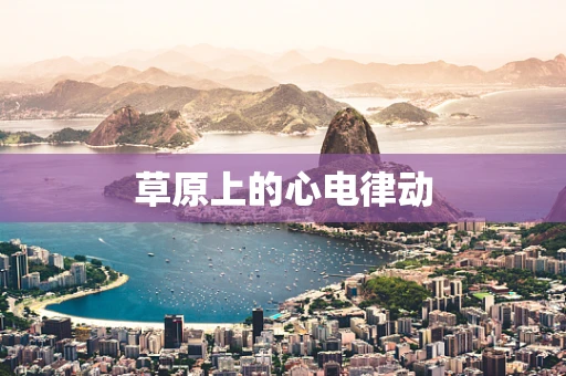 草原上的心电律动