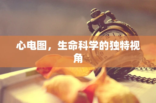 心电图，生命科学的独特视角