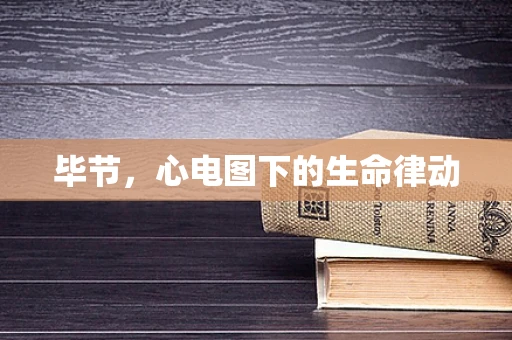 毕节,心电图下的生命律动