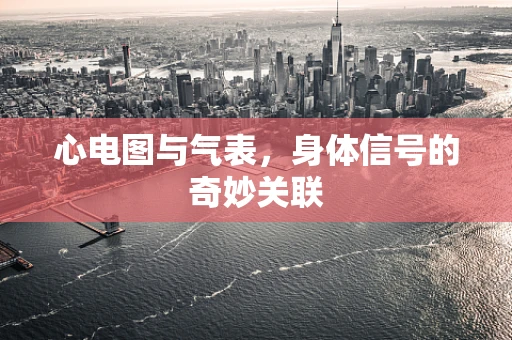 心电图与气表，身体信号的奇妙关联