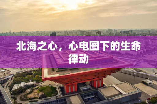 北海之心,心电图下的生命律动 北海之心,心电图下的生命律动