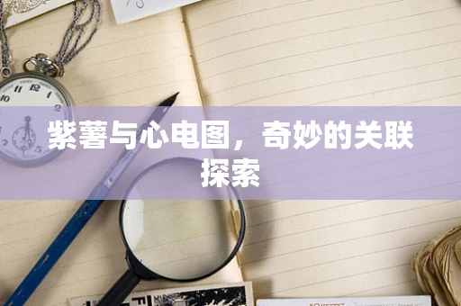 紫薯与心电图,奇妙的关联探索