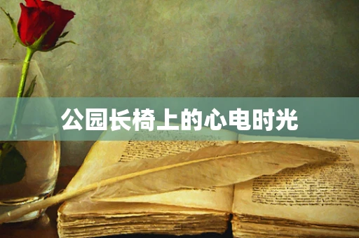 公园长椅上的心电时光 公园长椅上的心电时光