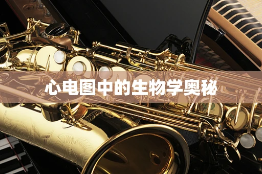 心电图中的生物学奥秘
