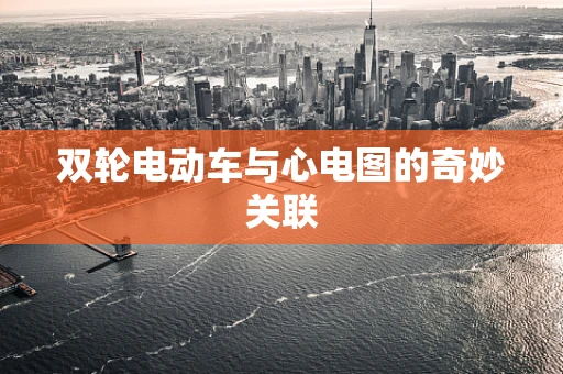 双轮电动车与心电图的奇妙关联