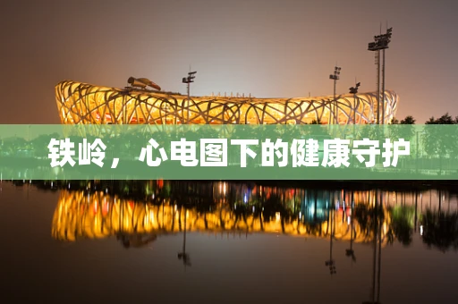 铁岭，心电图下的健康守护