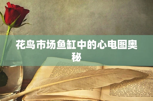 花鸟市场鱼缸中的心电图奥秘