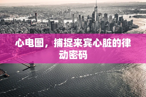 心电图，捕捉来宾心脏的律动密码