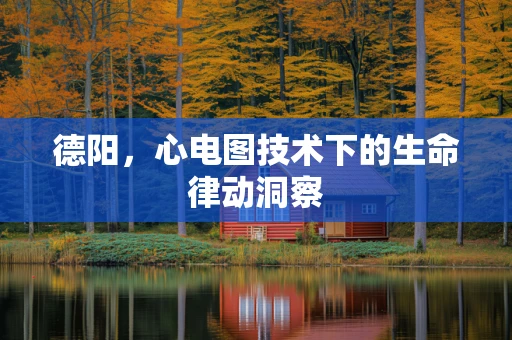 德阳，心电图技术下的生命律动洞察