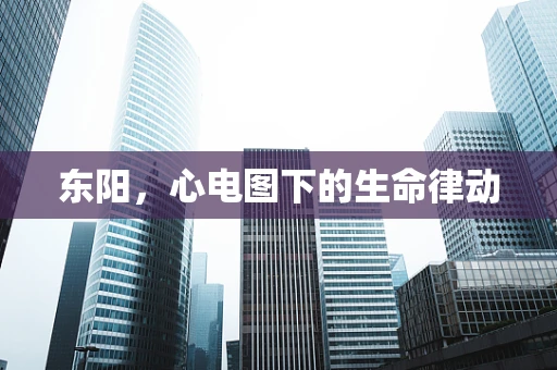 东阳，心电图下的生命律动