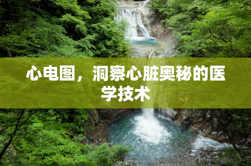 心电图，洞察心脏奥秘的医学技术