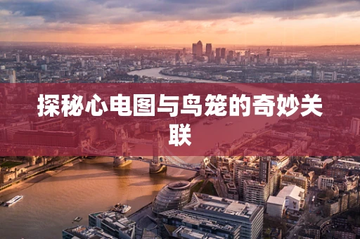 探秘心电图与鸟笼的奇妙关联