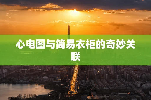 心电图与简易衣柜的奇妙关联
