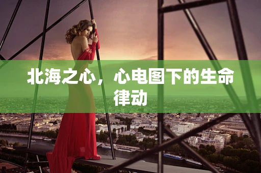 北海之心，心电图下的生命律动