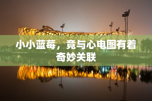 小小蓝莓，竟与心电图有着奇妙关联