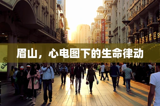 眉山，心电图下的生命律动